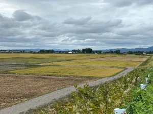 農地整備事業09
